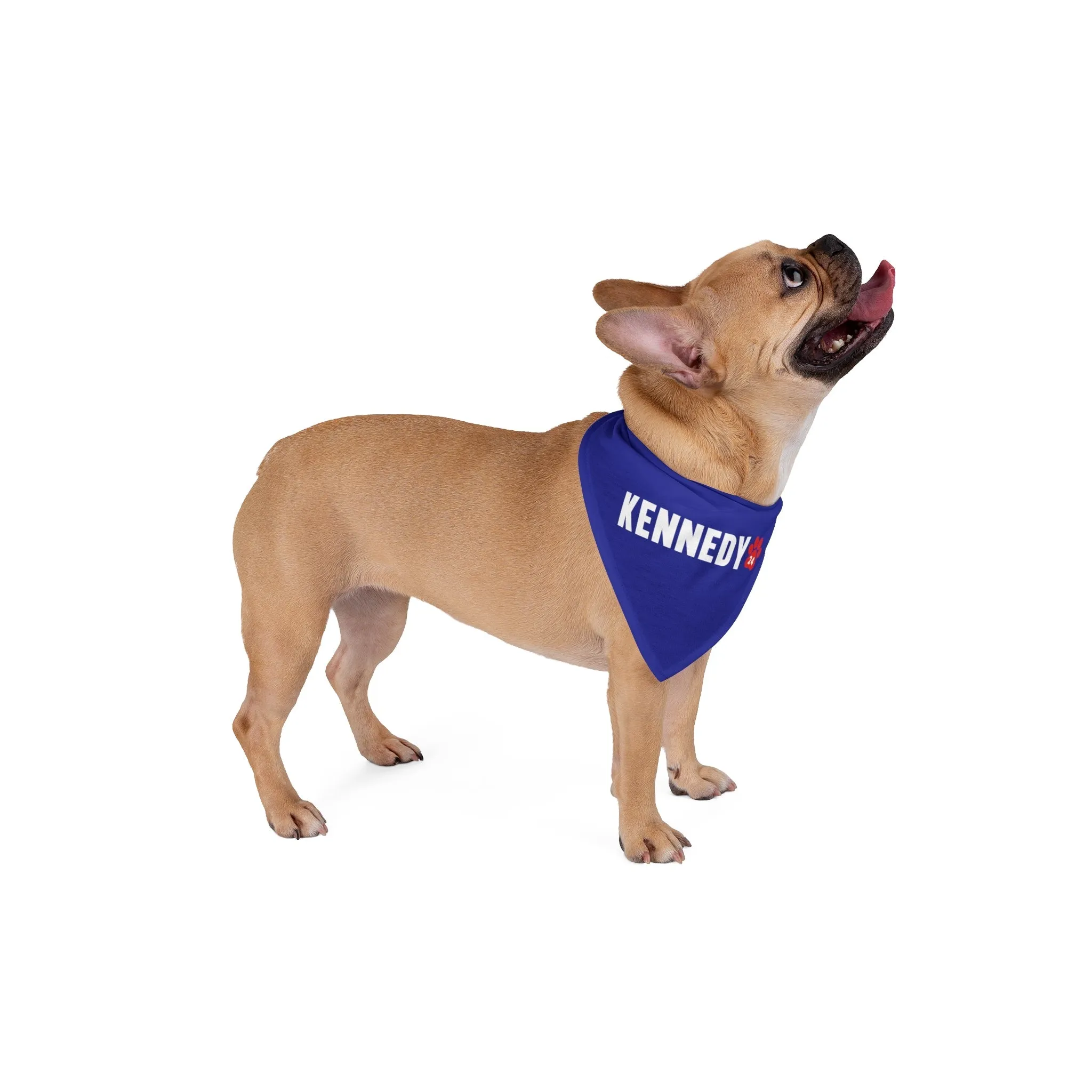 Kennedy Classic Pet Bandana in Blue